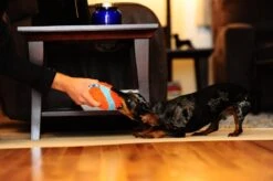 Chuckit! Chuckit Indoor Ball -Hondenartikelen Serie Winkel 1200x798 26