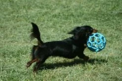 JW HOL-EE ROLLER Medium – Hondenbal Rubber – 11,5 Cm -Hondenartikelen Serie Winkel 1200x798 33