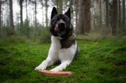 The Original Himalayan Yak Kauwbot Large Puur Fit -Hondenartikelen Serie Winkel 1200x799 10