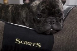 Hondenmand Zacht En Stevig, Anti-Slip En Wasbaar - Scruffs Chester Box Bed - In Grijs En Bruin In Maat S Tot XL - Kleur: Grijs, Maat: Medium 26 Hondenmand Zacht En Stevig, Anti-Slip En Wasbaar - Scruffs Chester Box Bed - In Grijs En Bruin In Maat S Tot XL - Kleur: Grijs, Maat: Medium -Hondenartikelen Serie Winkel 1200x799 28