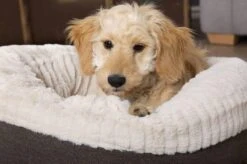 Scruffs Ellen Donut - Warme Hondenmand Van Imitatiebont - Kleur Grijs, Roze Of Bruin - Maat M Of L - Kleur: Grijs, Maat: Medium -Hondenartikelen Serie Winkel 1200x799 46