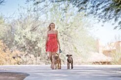 Wigzi Dual Doggie 2.0 Voor Twee Honden - Hondenriem - Grijs - 3m - <22 Kg (per Hond) -Hondenartikelen Serie Winkel 1200x799 63