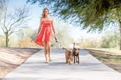 Wigzi Dual Doggie 2.0 Voor Twee Honden - Hondenriem - Grijs - 3m - <22 Kg (per Hond) -Hondenartikelen Serie Winkel 1200x799 65