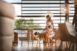 Julius K9 Julius-K9 IDC®Powertuig, XL - Maat 2, Zwart -Hondenartikelen Serie Winkel 1200x799 72