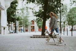 Julius K9 Julius-K9 IDC®Powertuig, L - Maat 1, Zwart 21 Julius K9 Julius-K9 IDC®Powertuig, L - Maat 1, Zwart -Hondenartikelen Serie Winkel 1200x799 73