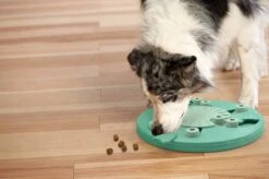 Nina Ottosson Dog Worker Composiet 34,5x34,5x5 Cm -Hondenartikelen Serie Winkel 1200x799 78