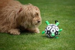 Honden Speelgoed Bal Voetbal Extra Sterk Met Handvaten Ball Hondenbal - 15 Cm - Dutchwide -Hondenartikelen Serie Winkel 1200x799 92