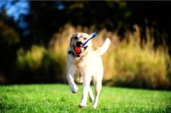 Chuckit! Chuckit Ultra Tug – Hondenspeelgoed - Blauw/Oranje – Large - ø 7 Cm -Hondenartikelen Serie Winkel 1200x799 96