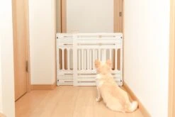 Iris Ohyama Huisdier Bariere PBR-600 - Kunststof - Wit/Beige - Uitschuifbaar -Hondenartikelen Serie Winkel 1200x800 110