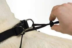 Beeztees Gentle Walker - Hondentuig - Zwart - M 10 Beeztees Gentle Walker - Hondentuig - Zwart - M -Hondenartikelen Serie Winkel 1200x800 131