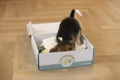 Merkloos Beeztees Puppy Cadeaupakket - Puppy Pakket - Leuke Box Met Puppy Speelgoed En Snacks -Hondenartikelen Serie Winkel 1200x800 138