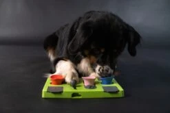 Eat Slow Live Longer Puzzel Rectangle – Intelligentie Speelgoed Voor Honden – Interactief Hondenspeelgoed – Uitdagende Hondenpuzzel – Gerecyclede Materialen – Te Vullen Met Snacks - 25x26x5 Cm - Groen 10 Eat Slow Live Longer Puzzel Rectangle – Intelligentie Speelgoed Voor Honden – Interactief Hondenspeelgoed – Uitdagende Hondenpuzzel – Gerecyclede Materialen – Te Vullen Met Snacks - 25x26x5 Cm - Groen -Hondenartikelen Serie Winkel 1200x800 155