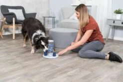 Trixie Dog Activity Gambling Tower - 27X25 CM -Hondenartikelen Serie Winkel 1200x800 165