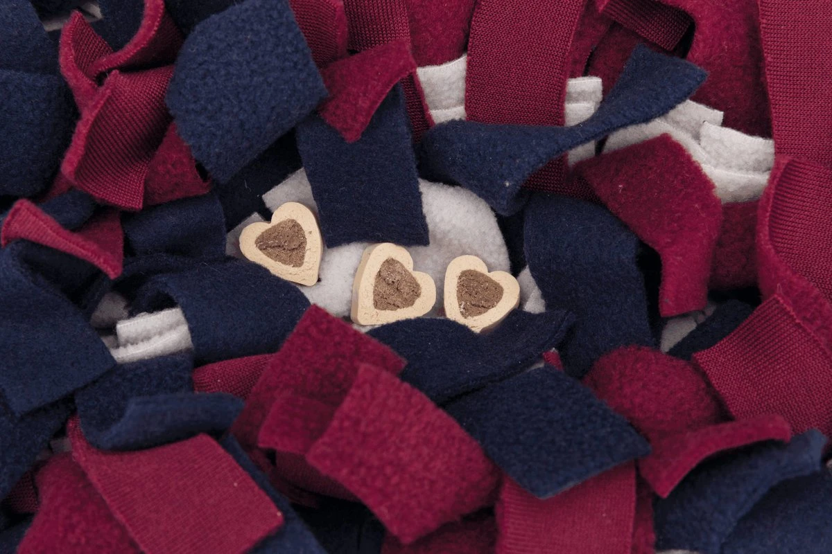 Trixie Activity Snuffelmat Assorti - 50X34 CM 12 Trixie Activity Snuffelmat Assorti - 50X34 CM - Afbeelding 10