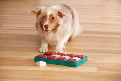 Nina Ottosson - Hondenspel - Dog Brick -Hondenartikelen Serie Winkel 1200x800 182