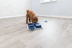 Trixie Dog Activity Poker Box 1 - 31X31 CM -Hondenartikelen Serie Winkel 1200x800 186