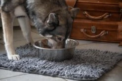 Royal Dry Absorberende Anti-knoeimat Voor Honden – Trekt Vuil Als Een Spons – Laat Geen Vocht Door – 61x45 Cm – Microfiber Chenille – Geschikt Voor Honden En Overige Huisdieren -Hondenartikelen Serie Winkel 1200x800 21