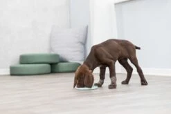 Trixie Junior Likplaat Mintgroen - 21X21 CM -Hondenartikelen Serie Winkel 1200x800 212