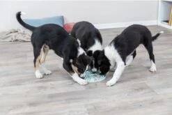 Trixie Junior Likplaat Mintgroen - 21X21 CM -Hondenartikelen Serie Winkel 1200x800 213