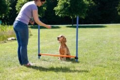 Trixie Dog Activity Agility Horde - Blauw/Oranje - 123 X 115 X 3 Cm -Hondenartikelen Serie Winkel 1200x800 240
