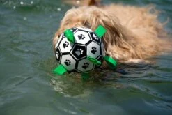 Honden Speelgoed Bal Voetbal Extra Sterk Met Handvaten Ball Hondenbal - 15 Cm - Dutchwide -Hondenartikelen Serie Winkel 1200x800 247