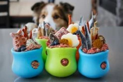 West Paw Toppl Zogoflex - Uitdagend En Sterk Speelgoed Voor Honden - Slowfeeder - Vulbaar Met Voer Of Snacks - Kleur: Groen, Maat: Large 25 West Paw Toppl Zogoflex - Uitdagend En Sterk Speelgoed Voor Honden - Slowfeeder - Vulbaar Met Voer Of Snacks - Kleur: Groen, Maat: Large -Hondenartikelen Serie Winkel 1200x800 252