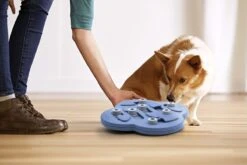 Nina Ottosson Dog Hide N Slide Composiet 33x33x5 Cm -Hondenartikelen Serie Winkel 1200x800 253