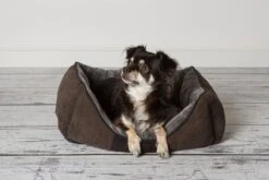 Hondenmand Zacht En Stevig, Anti-Slip En Wasbaar - Scruffs Chester Box Bed - In Grijs En Bruin In Maat S Tot XL - Kleur: Grijs, Maat: Medium 27 Hondenmand Zacht En Stevig, Anti-Slip En Wasbaar - Scruffs Chester Box Bed - In Grijs En Bruin In Maat S Tot XL - Kleur: Grijs, Maat: Medium -Hondenartikelen Serie Winkel 1200x800 27