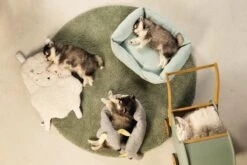 Beeztees Puppy Cosy Doggy - Hondenspeelgoed - Grijs - 120x12x9,5 Cm -Hondenartikelen Serie Winkel 1200x800 273