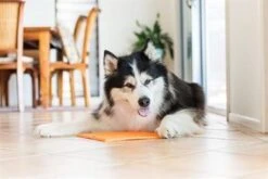 Lickimat Buddy - Voermat - Slow Feeder - 20 Cm - Oranje -Hondenartikelen Serie Winkel 1200x800 280