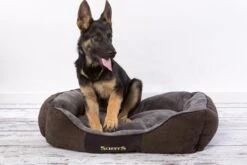 Hondenmand Zacht En Stevig, Anti-Slip En Wasbaar - Scruffs Chester Box Bed - In Grijs En Bruin In Maat S Tot XL - Kleur: Grijs, Maat: Large 39 Hondenmand Zacht En Stevig, Anti-Slip En Wasbaar - Scruffs Chester Box Bed - In Grijs En Bruin In Maat S Tot XL - Kleur: Grijs, Maat: Large -Hondenartikelen Serie Winkel 1200x800 40