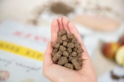 Kivo Petfood Hondenbrokken Verse Kip - 14 Kg - Koudgeperst - Glutenvrij 11 Kivo Petfood Hondenbrokken Verse Kip - 14 Kg - Koudgeperst - Glutenvrij -Hondenartikelen Serie Winkel 1200x800 6