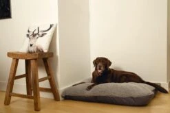 Beeztees Ruba - Orthopedisch Hondenkussen - Grijs - 100x70cm -Hondenartikelen Serie Winkel 1200x800 60