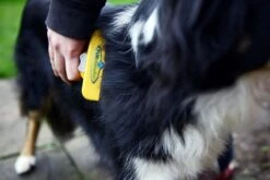 Furminator® Hond Langhaar - Vermindert Haaruitval Tot 90% - Hondenborstel - L -Hondenartikelen Serie Winkel 1200x800 74