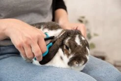 Trixie Gezicht- En Potenschaar Kunststof / Rvs 8 Cm -Hondenartikelen Serie Winkel 1200x800 85