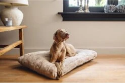 Designed By Lotte Hondenkussen Pluche Xanti Beige 100 X 68 X 5 Cm -Hondenartikelen Serie Winkel 1200x804 4