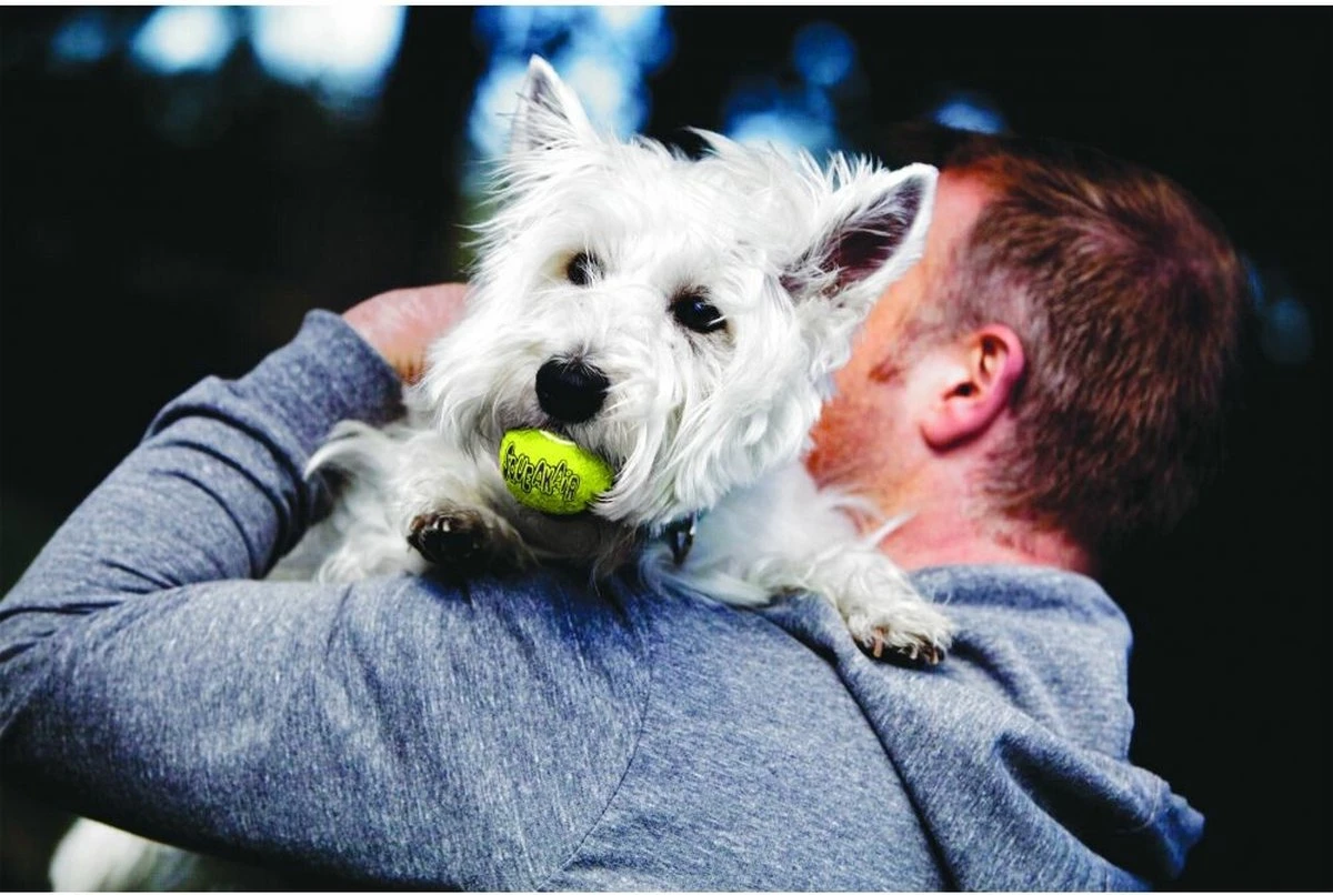 Kong Air Squacker Tennisbal - Hondenspeelgoed - Geel - M - Ø7,1 Cm 4 Kong Air Squacker Tennisbal - Hondenspeelgoed - Geel - M - Ø7,1 Cm - Afbeelding 2