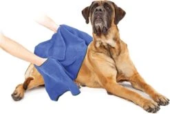 Duvo+ Hondenhanddoek 70 X 100 Cm -Hondenartikelen Serie Winkel 1200x808 5