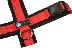 Annyx Hondentuig Harnas Zwart Rood - Y Model - Maat S Is Geschikt Voor Borstomvang 52-64cm. -Hondenartikelen Serie Winkel 1200x808 8