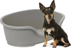 Flamingo - Hondenmand Domus - Grijs - M - 70 X 47 X 22 Cm -Hondenartikelen Serie Winkel 1200x813