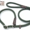 Sliplijn Met Stop - 1.2 Meter - Groen - Verstevigd - Roestvrij Staal - Verstelbaar - Hondenriem - Trainingslijn Voor Honden - Touw - Touwlijn - Lijn - Made In Portugal 1 Sliplijn Met Stop - 1.2 Meter - Groen - Verstevigd - Roestvrij Staal - Verstelbaar - Hondenriem - Trainingslijn Voor Honden - Touw - Touwlijn - Lijn - Made In Portugal -Hondenartikelen Serie Winkel 1200x814 2