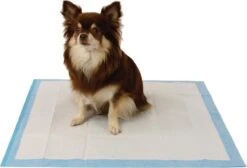 Easypets Puppy Training Pads - Zindelijkheidstraining - Hondentoilet - 58 X 58 Cm - 105 Stuks -Hondenartikelen Serie Winkel 1200x814