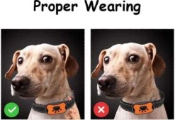 Merkloos Anti Blafband Voor Honden Blafband Anti Blaf Apparaat Blafband Zonder Schok - Diervriendelijk -Hondenartikelen Serie Winkel 1200x822 6