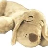 HuggiePup, Hartslagknuffel - Knuffelhond Met Hartslag En Warmhoud Zakje – Warmte Knuffel – Puppy Knuffel – Puppyknuffel Met Hartslag – Snuggle Puppy - Heartbeat -Hondenartikelen Serie Winkel 1200x834 7