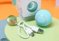 Merkloos Interactive Bal Voor Katten - Zelf Rollende Bal Voor Katten - Elektrisch Kattenspeeltje - Usb Oplaadbaar - Zelf Rollend Interactief Kattenspeeltje - Huisdieren Speeltjes - Cadeau Dierenliefhebbers -Hondenartikelen Serie Winkel 1200x835 8