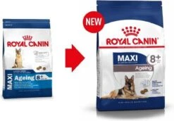 Royal Canin Maxi Ageing 8+ 15 KG 24 Royal Canin Maxi Ageing 8+ 15 KG -Hondenartikelen Serie Winkel 1200x836