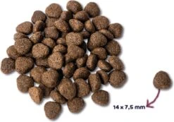 Renske Super Premium Adult Verse Zalm - Graanvrij - Hond - Droogvoer - 600 Gr -Hondenartikelen Serie Winkel 1200x840