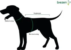 Julius K9 Julius-K9 IDC®Powertuig, XS - Mini-Mini, Camouflage -Hondenartikelen Serie Winkel 1200x842 4