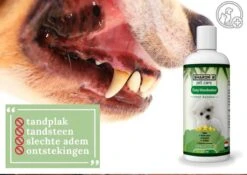 Easy Mondwater Voor Honden - 237 Ml - Tegen Stinkende Adem - Tandplak - Tandsteen - Tandvleesproblemen 16 Easy Mondwater Voor Honden - 237 Ml - Tegen Stinkende Adem - Tandplak - Tandsteen - Tandvleesproblemen -Hondenartikelen Serie Winkel 1200x852 7