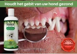 Easy Mondwater Voor Honden - 237 Ml - Tegen Stinkende Adem - Tandplak - Tandsteen - Tandvleesproblemen 17 Easy Mondwater Voor Honden - 237 Ml - Tegen Stinkende Adem - Tandplak - Tandsteen - Tandvleesproblemen -Hondenartikelen Serie Winkel 1200x852 8